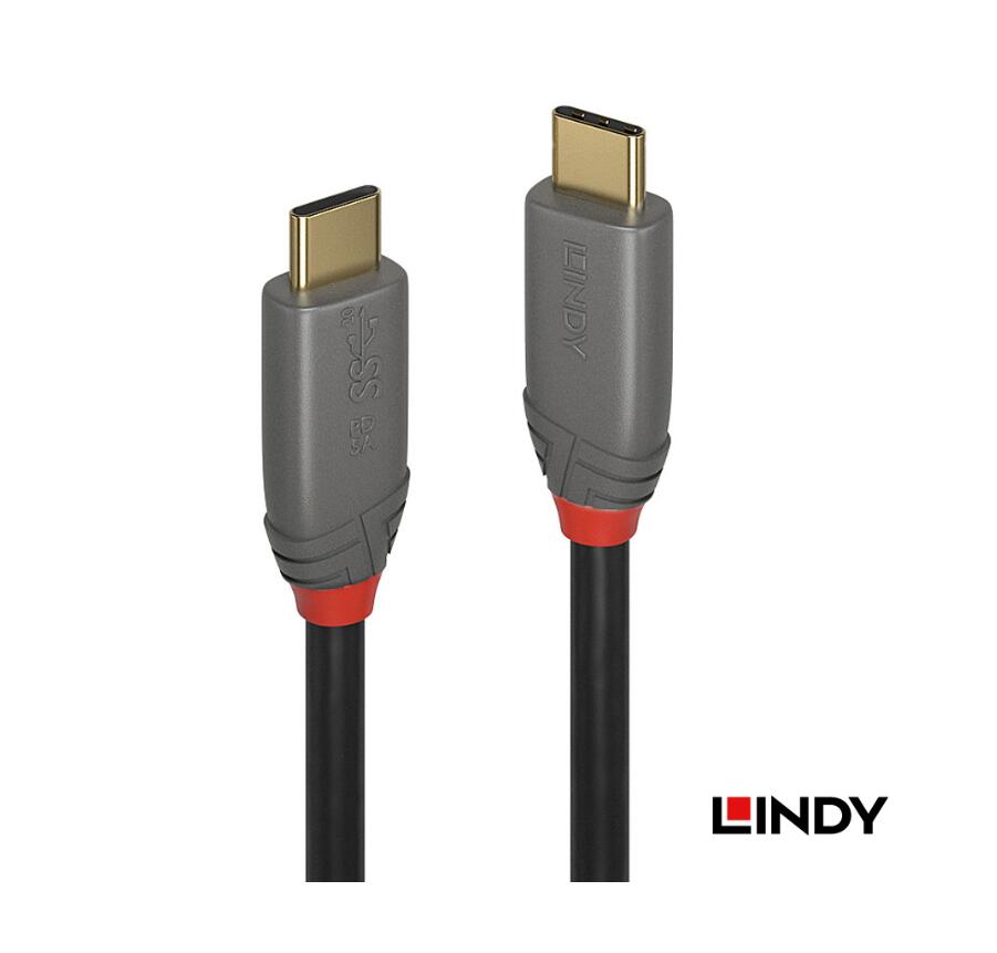 林帝 USB 3.2 GEN 2X2 TYPE-C 公 TO 公 0.5米(36