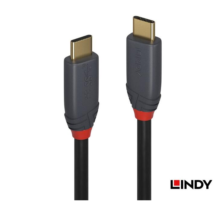 林帝 USB 3.2 Gen 2 Type-C 公:公傳輸線+PD智能晶片-1M